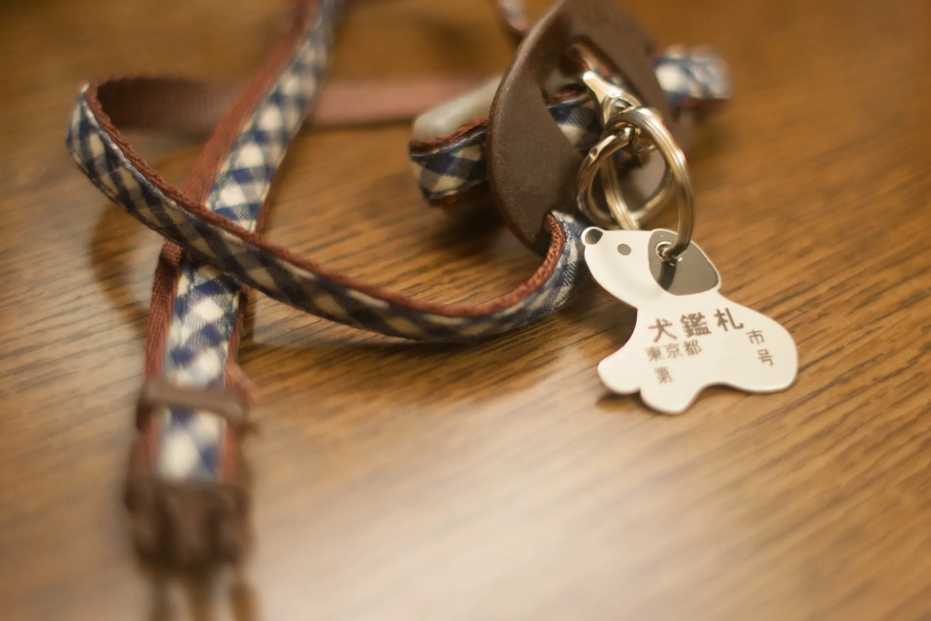 ペットが亡くなったら必要な手続き｜犬は市役所への死亡届を忘れずに