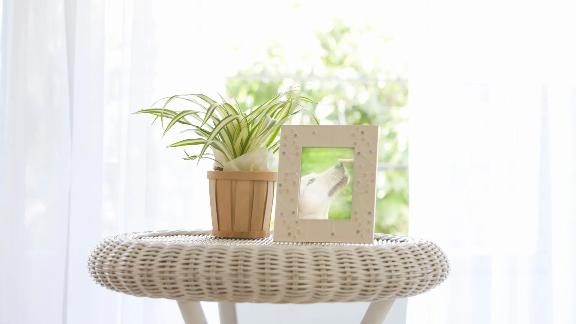 返骨後の供養方法｜納骨や手元供養といった選択肢
