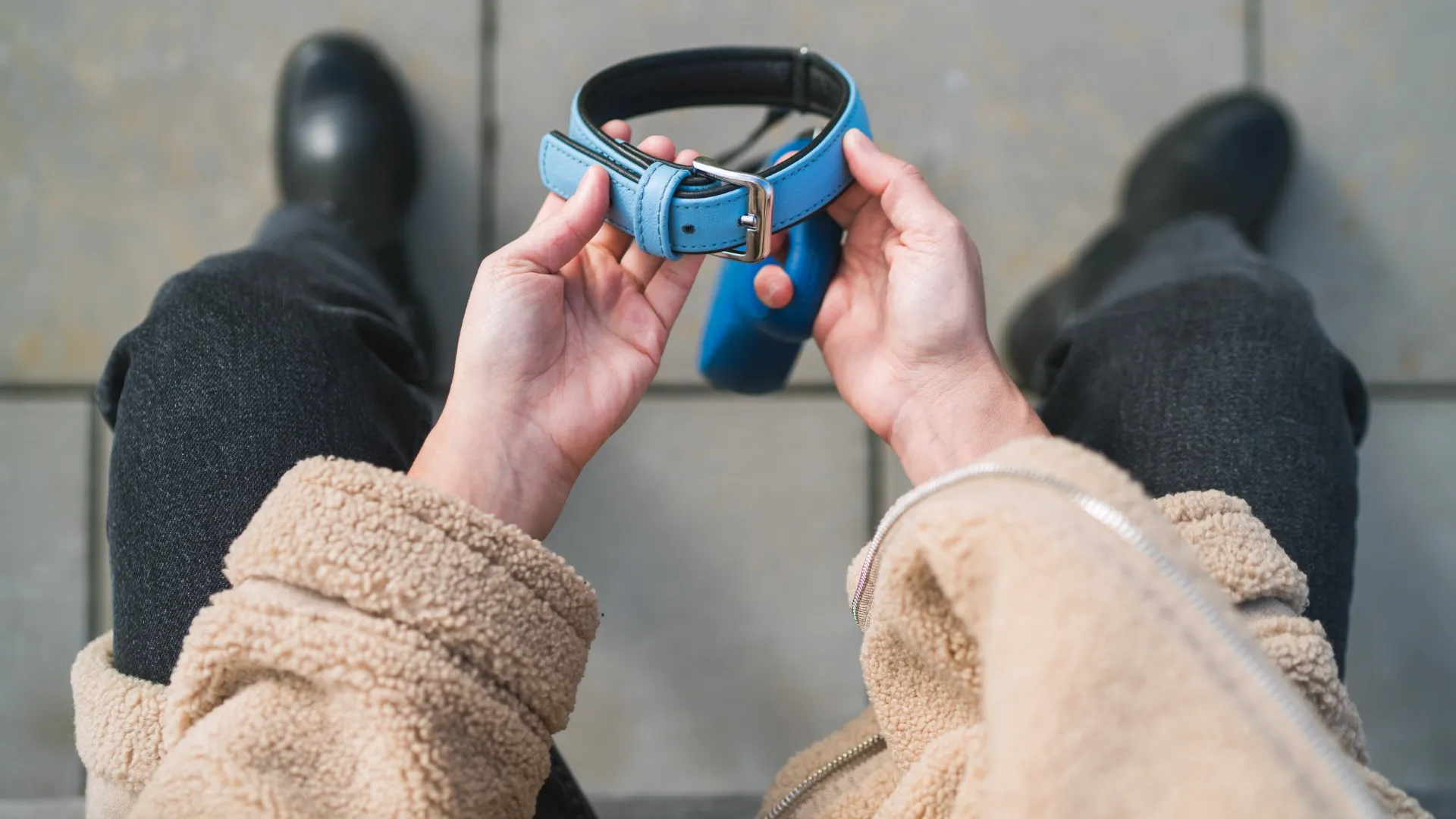 立ち直れないほどの悲しみ｜ペットロスとの向き合い方