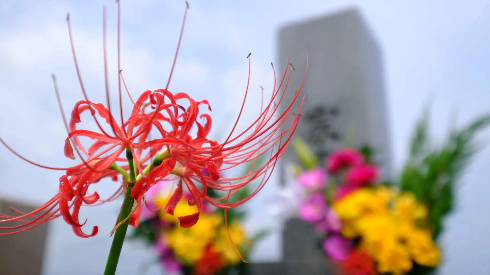 そもそもお彼岸とは？由来や行う意味を解説