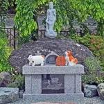ペット供養の完全ガイド｜手元供養のグッズや供養の仕方もご紹介