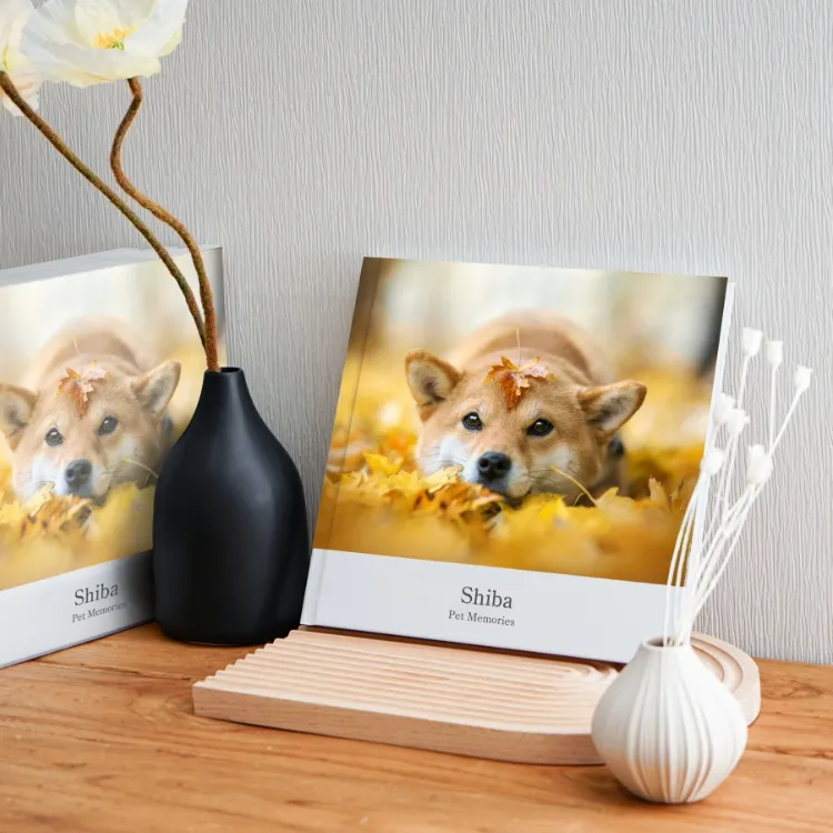 アルバムイメージ1