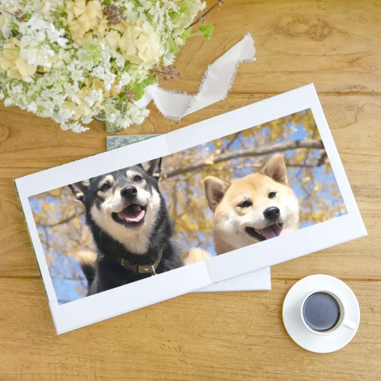 アルバムイメージ2