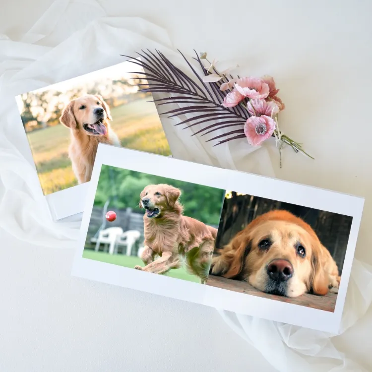 アルバムイメージ3