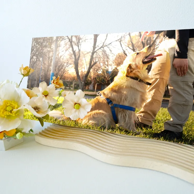 アルバムイメージ4