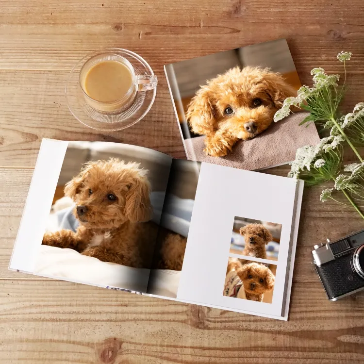 アルバムイメージ5