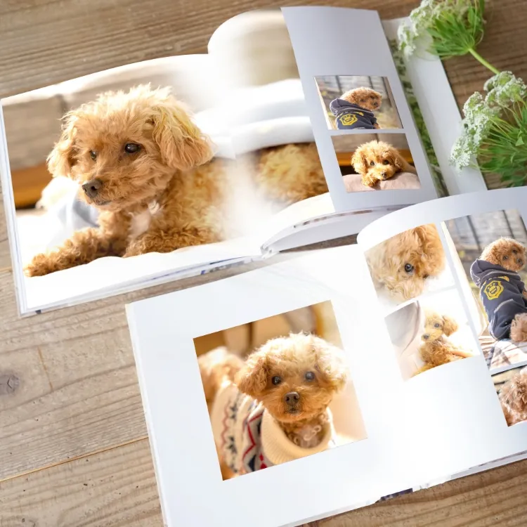 アルバムイメージ6