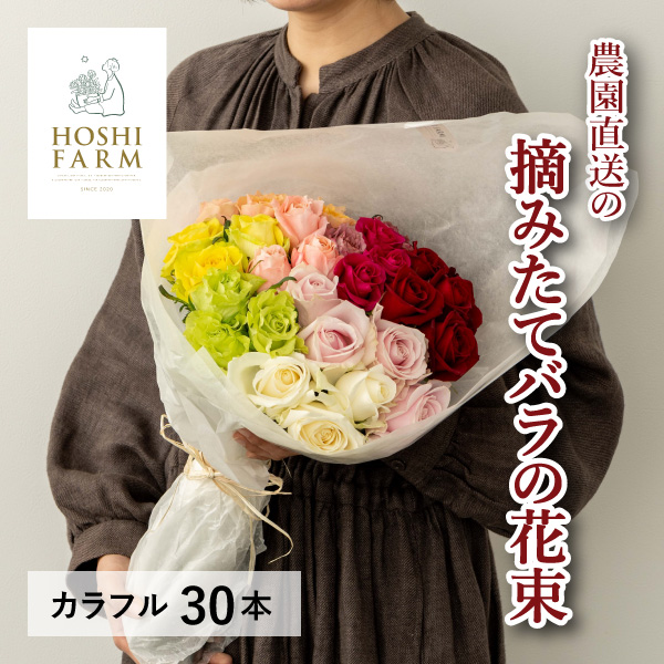 【送料無料】ホシファーム フレッシュブーケ カラフル 30本