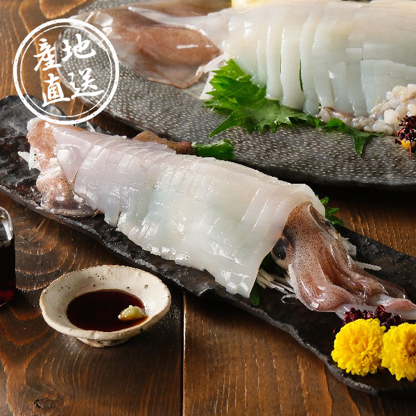 【送料無料】産地直送｜いかの食べ比べセット【佐賀県】