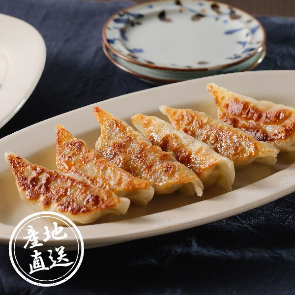【送料無料】産地直送｜土佐を包む お山の餃子（野菜・生姜）【高知県】