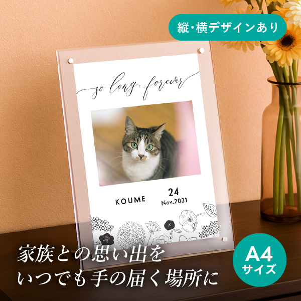 フォトメモリアルボード（ジャポネフルール） A4サイズ