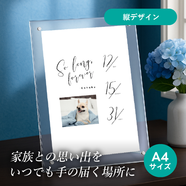 フォトメモリアルボード（カリグラフ・デイズ） A4サイズ