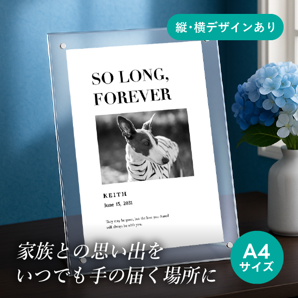 フォトメモリアルボード(ルーセント バーニー) A4サイズ