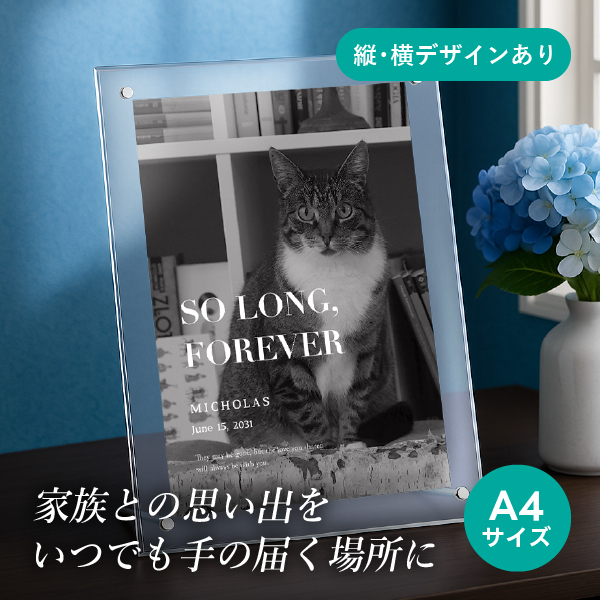 フォトメモリアルボード(ルーセント バーニー シアー) A4サイズ