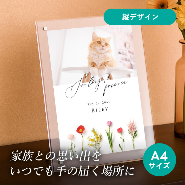 フォトメモリアルボード(シャルムドフルール スイート) A4サイズ