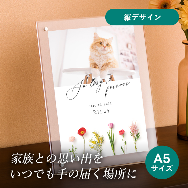 フォトメモリアルボード(シャルムドフルール スイート) A5サイズ