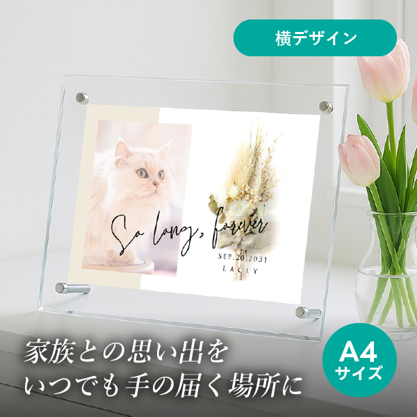 フォトメモリアルボード(シャルムドブーケ シルバーデージー) A4サイズ