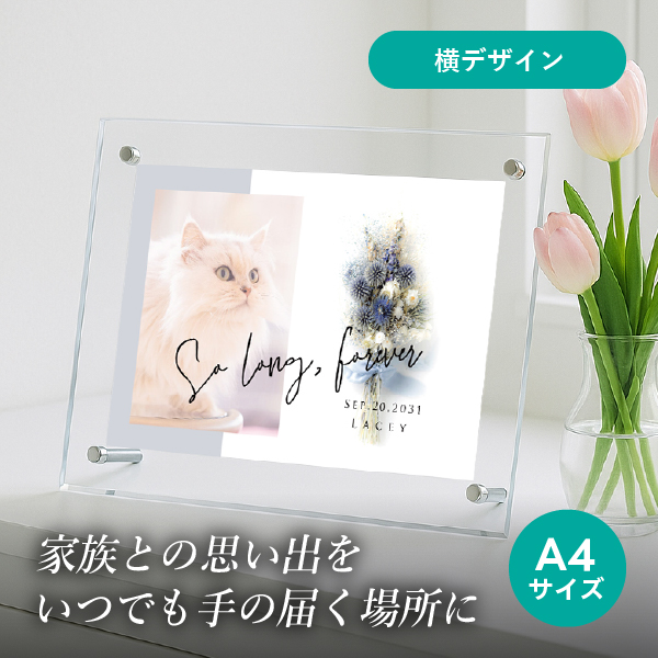 フォトメモリアルボード(シャルムドブーケ デルフィニウム) A4サイズ
