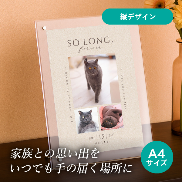 フォトメモリアルボード（ベストモーメント エクリュベージュ） A4サイズ