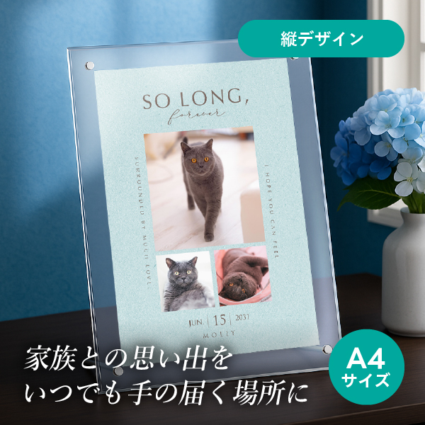 フォトメモリアルボード（ベストモーメント ダスティブルー） A4サイズ
