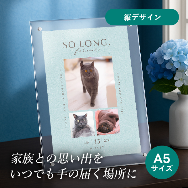フォトメモリアルボード（ベストモーメント ダスティブルー） A5サイズ