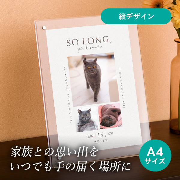 フォトメモリアルボード（ベストモーメント ホワイトシフォン） A4サイズ