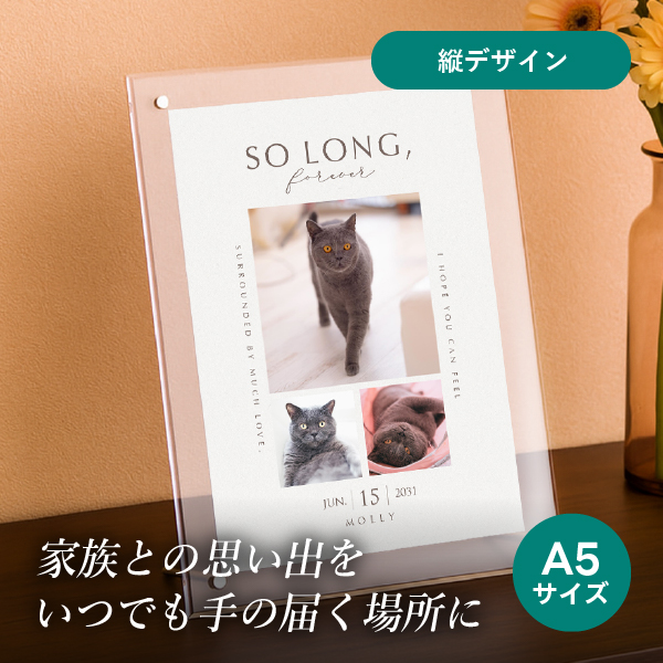 フォトメモリアルボード（ベストモーメント ホワイトシフォン） A5サイズ