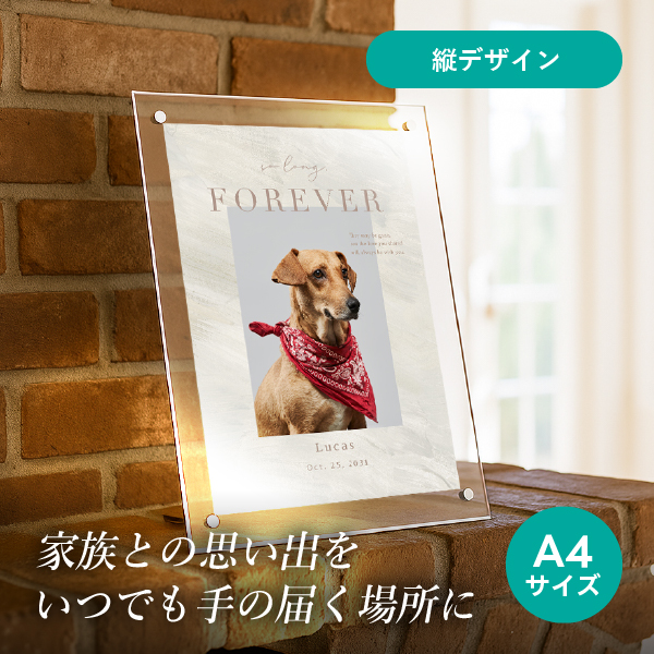 フォトメモリアルボード（シャルール） A4サイズ