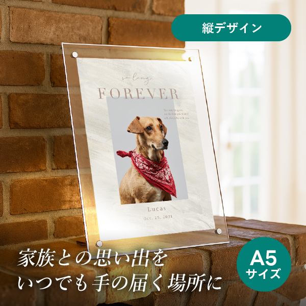 フォトメモリアルボード（シャルール） A5サイズ