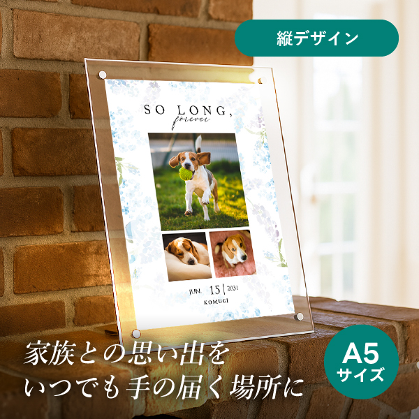 フォトメモリアルボード(トレーシアフローリス ラベンダー) A5サイズ