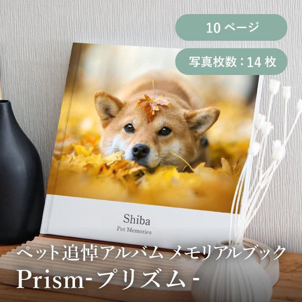 ペット追悼アルバム メモリアルブック│「Prism-プリズム-」10ページ 送料無料